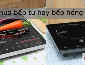 Nên mua bếp từ hay bếp hồng ngoại - Lựa chọn thông minh của người tiêu dùng