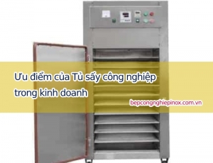 Ưu điểm của tủ sấy công nghiệp trong kinh doanh bạn biết chưa?